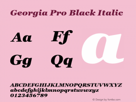 Georgia Pro Black Italic Version 6.14图片样张