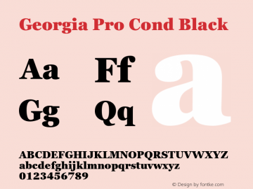 Georgia Pro Cond Black Version 6.14图片样张