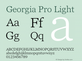 Georgia Pro Light Version 6.14图片样张