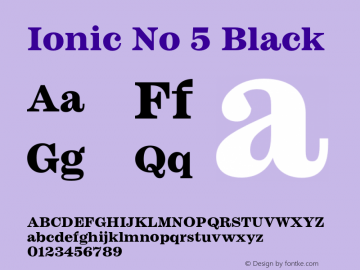 Ionic No 5 Black Version 1.00图片样张