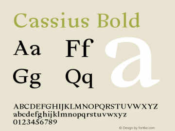 Cassius Bold Version 1.001图片样张