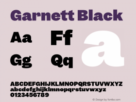 Garnett Black Version 1.000;PS 1.0;hotconv 16.6.51;makeotf.lib2.5.65220图片样张