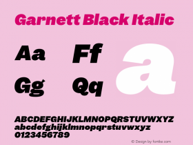 Garnett Black Italic Version 1.000;PS 1.0;hotconv 16.6.51;makeotf.lib2.5.65220图片样张