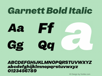 Garnett Bold Italic Version 1.000;PS 1.0;hotconv 16.6.51;makeotf.lib2.5.65220图片样张
