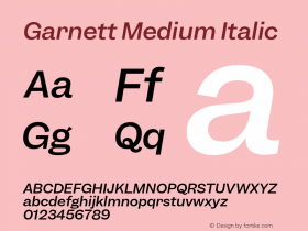 Garnett Medium Italic Version 1.000;PS 1.0;hotconv 16.6.51;makeotf.lib2.5.65220图片样张