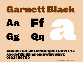 Garnett Black Version 1.000;PS 1.000;hotconv 16.6.51;makeotf.lib2.5.65220图片样张