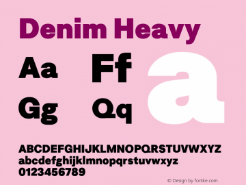 Denim Heavy Version 3.000;FEAKit 1.0图片样张