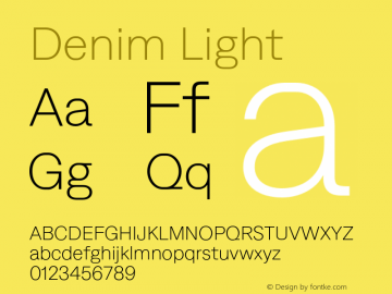 Denim Light Version 3.000;FEAKit 1.0图片样张