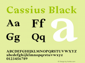 Cassius-Black Version 1.001图片样张