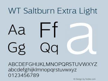 WT Saltburn Extra Light Version 1.000图片样张