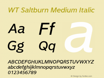 WT Saltburn Medium Italic Version 1.000图片样张