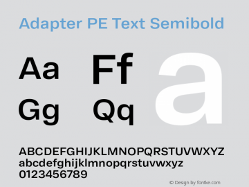 Adapter PE Text Sb Version 1.002图片样张