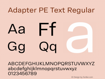Adapter PE Text Rg Version 1.002图片样张