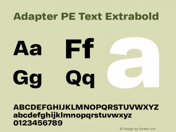 Adapter PE Text Eb Version 1.002图片样张