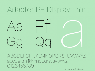 Adapter PE Display Th Version 1.002图片样张