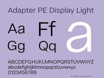 Adapter PE Display Lt Version 1.002图片样张