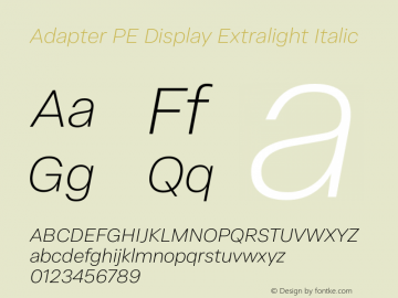 Adapter PE Display El It Version 1.002图片样张