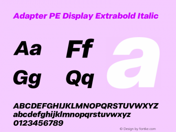 Adapter PE Display Eb It Version 1.002图片样张