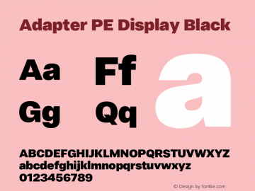 Adapter PE Display Bl Version 1.002图片样张