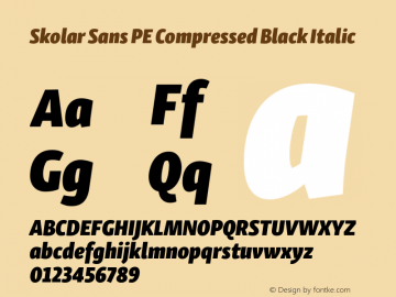 Skolar Sans PE Cp Bl It Version 2.007图片样张