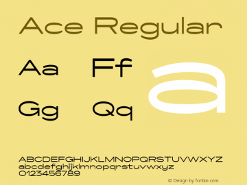 Ace Regular Version 1.000;hotconv 1.0.109;makeotfexe 2.5.65596图片样张