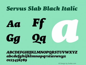 Servus Slab Black Italic 1.000图片样张