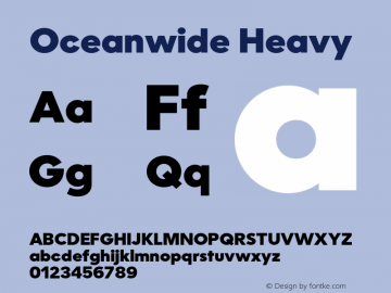 Oceanwide-Heavy 1.003图片样张