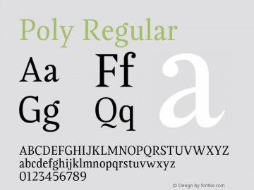 Poly Regular Version 1.006 | web-OT图片样张