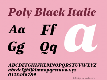 Poly Black Italic Version 1.006 | web-OT图片样张