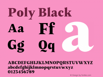 Poly Black Version 1.006 | web-OT图片样张