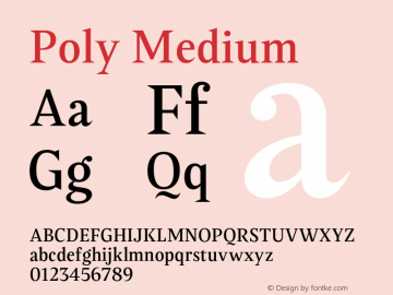 Poly Medium Version 1.006 | web-OT图片样张