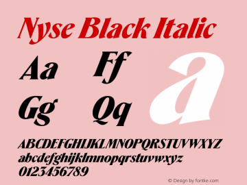 Nyse Black Italic Version 1.000 | web-TT图片样张