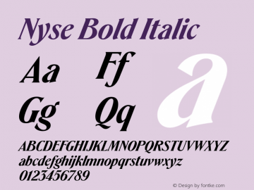 Nyse Bold Italic Version 1.000 | web-TT图片样张