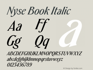 Nyse Book Italic Version 1.000 | web-TT图片样张