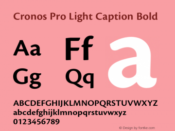 Cronos Pro Light Caption Bold Version 2.040;PS 002.000;hotconv 1.0.51;makeotf.lib2.0.18671图片样张
