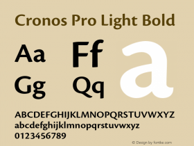 Cronos Pro Light Bold OTF 1.008;PS 001.000;Core 1.0.31;makeotf.lib1.4.1585图片样张