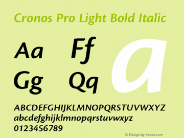 Cronos Pro Light Bold Italic Version 2.040;PS 002.000;hotconv 1.0.51;makeotf.lib2.0.18671图片样张