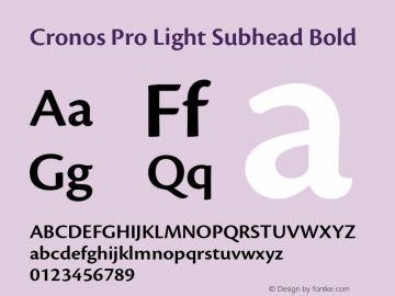 Cronos Pro Light Subhead Bold OTF 1.008;PS 001.000;Core 1.0.31;makeotf.lib1.4.1585 Font Sample