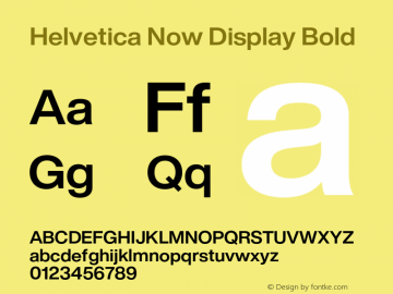 Helvetica Now Display Bold Version 1.20图片样张