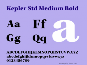 Kepler Std Medium Bold Version 1.009;PS 001.000;Core 1.0.38;makeotf.lib1.6.5960 Font Sample