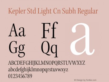 Kepler Std Light Cn Subh Regular Version 1.009;PS 001.000;Core 1.0.38;makeotf.lib1.6.5960 Font Sample