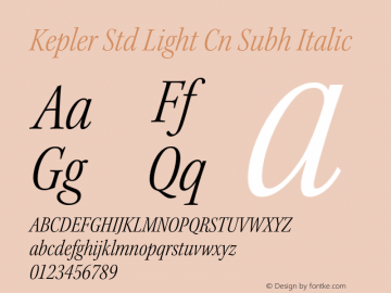 Kepler Std Light Cn Subh Italic Version 1.009;PS 001.000;Core 1.0.38;makeotf.lib1.6.5960 Font Sample