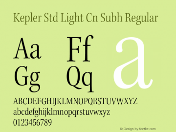 Kepler Std Light Cn Subh Regular Version 1.009;PS 001.000;Core 1.0.38;makeotf.lib1.6.5960 Font Sample