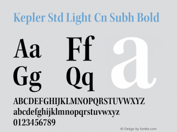 Kepler Std Light Cn Subh Bold Version 1.009;PS 001.000;Core 1.0.38;makeotf.lib1.6.5960 Font Sample