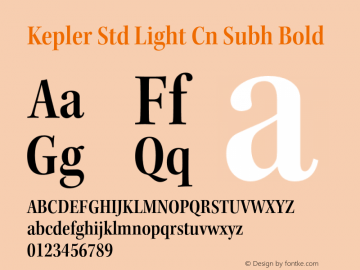 Kepler Std Light Cn Subh Bold Version 2.020;PS 2.000;hotconv 1.0.51;makeotf.lib2.0.18671 Font Sample
