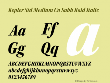 Kepler Std Medium Cn Subh Bold Italic Version 1.009;PS 001.000;Core 1.0.38;makeotf.lib1.6.5960图片样张