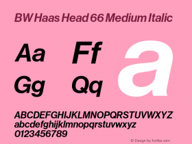 BWHaasHead-66MediumItalic Version 1.001;PS 001.001;hotconv 1.0.57;makeotf.lib2.0.21895图片样张