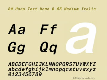 BW Haas Text Mono B 65 Med Italic Version 1.1 2016图片样张