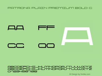Patrona Plain Premium Bold G Version 1.000;FEAKit 1.0图片样张