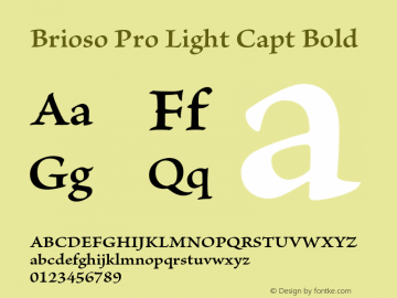 Brioso Pro Light Capt Bold Version 1.008;PS 001.000;Core 1.0.38;makeotf.lib1.6.5960图片样张